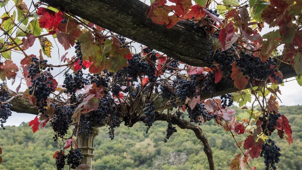 ribeira sacra que ver