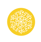 galicia_footer